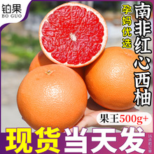 9���Ϸ��M�ڼt�����ְ��]���r�����ЋDˮ�������֮����t�������