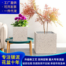 �S�����l������ˮ�໨����ʯ��ins�p�ݑ����̨ͥԺ��ins�L