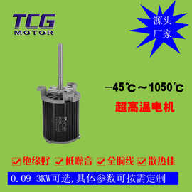 TCG高温电机 三相异步耐高温铝合金长轴电机 电力拖动装置