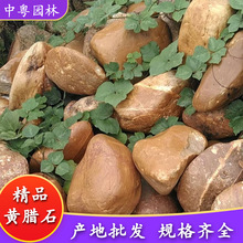 黄腊石产地园林河滩鹅软石园林假山花园绿地黄石驳岸溪流河卵石