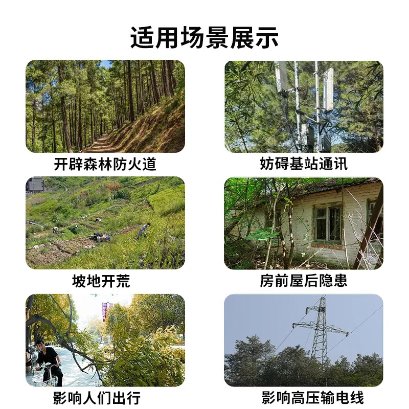 微信图片_202601261740322