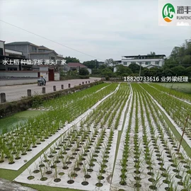 辅助包装材料;其他农业