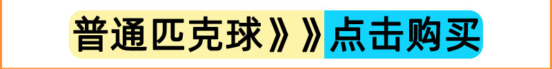普通匹克球.jpg1