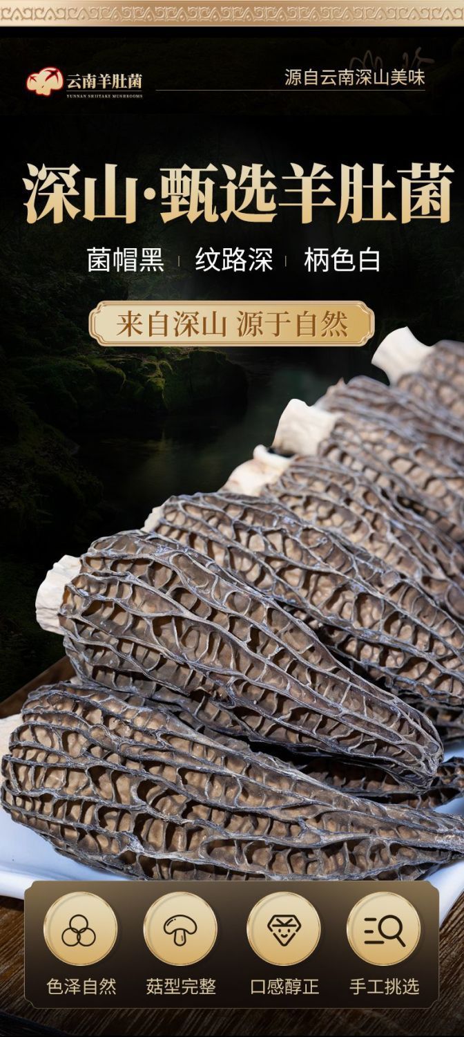 hmqViviiyNSAyin9WuaSt/EIURIOduUS3ZWb