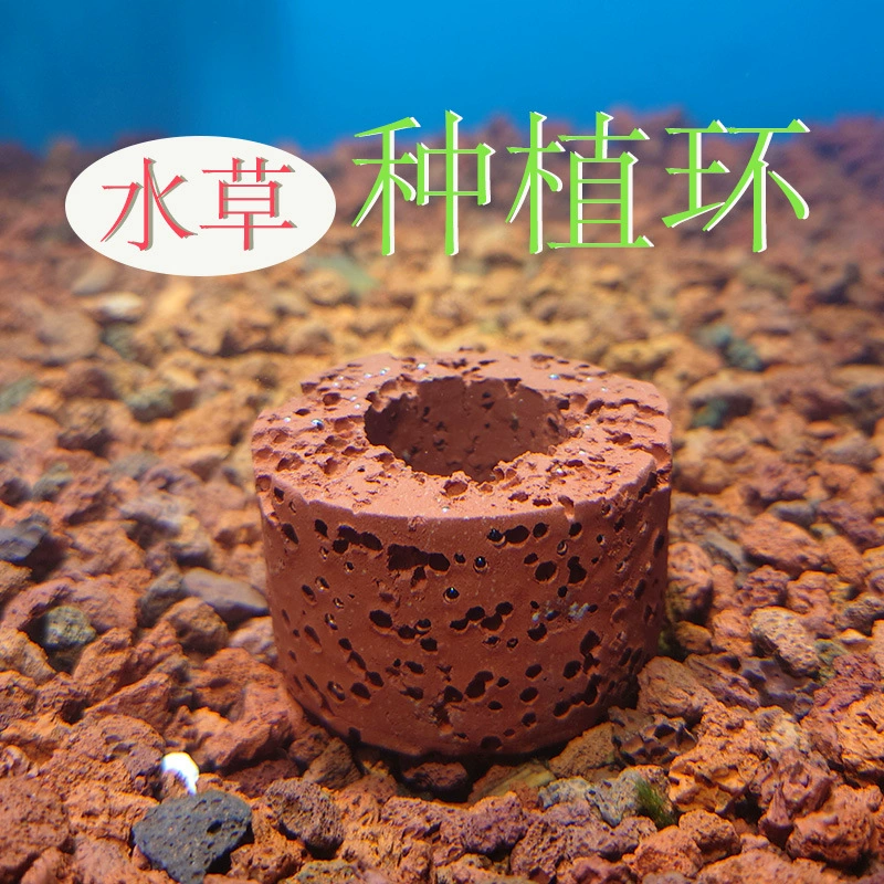 Кольцо фильтра водяной травы кольцо фильтра для выращивания водной травы Новое фиксированное кольцо руки нижнее кольцо раковины фиксированное кольцо раковина для аквариума нижнее кольцо фильтра