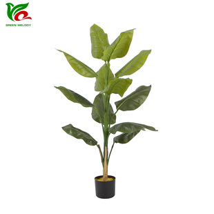 �|ݸ�S�� ���������B�z���~���� �Ҿӷ���ֲ���b[������ϲ����