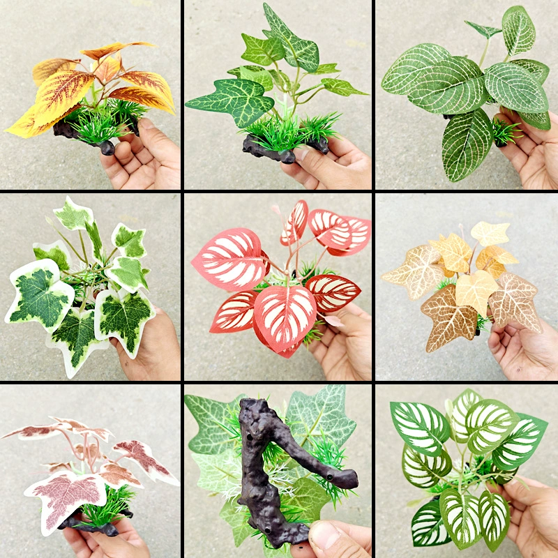 Восхождение на питомца, озеленение, чтобы избежать укрытия, тропический лес рептилия, пустыня, озеленение, зеленое растение, паук, ящерица