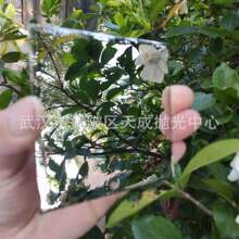 �R����ĥ�������ƽ���������ܹ�������ϲ��P䓼��R��ӹ�̎��