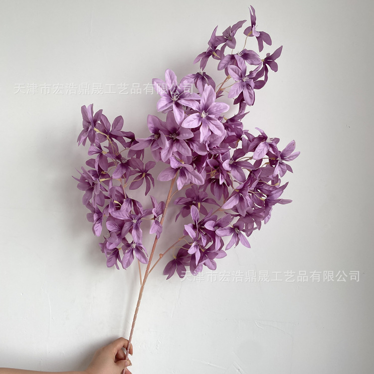 微信图片_202208191624365_副本
