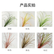 ���Wins�L��Ҿӆ�֧�Ѳ� �҃�ֲ��JȔ���[�ݼٻ�