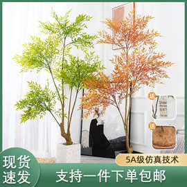 仿真绿植南天竹家居室内落地装饰假盆栽南天竺仿真植物橱窗摆件