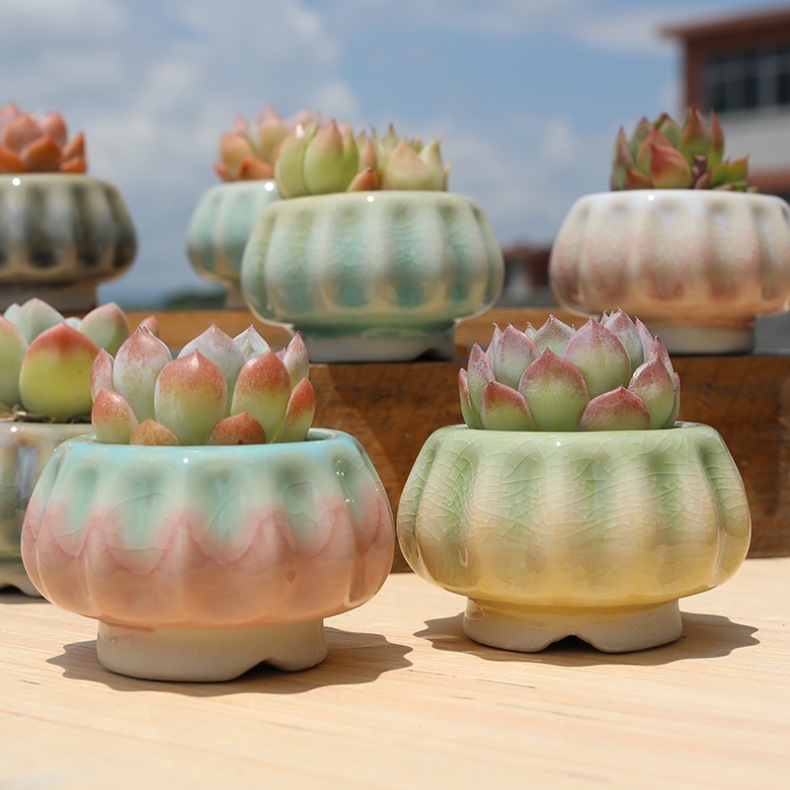 Pot à succulentes citrouille créatif avec glaçure arc en ciel_voghion.com