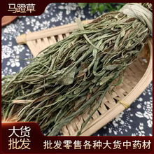 �R�Ų�--�^����R�Ų�߀ꖲ��R�Ų��R�����R���-250�˳����r�aƷ
