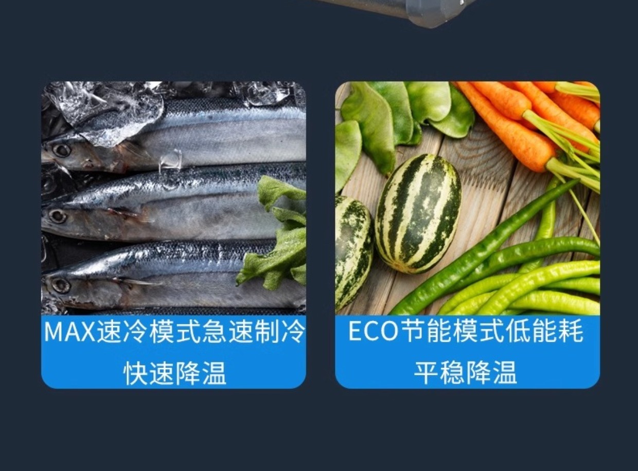 Car Refrigerator 24V12V Car Home Dual-Purpose Truck Compressor Mechanism Refrigeration Portable Dormitory Small Wholesale