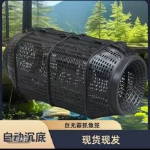 �¿횲��~�\���M���r�\��̖͸���~�\����ץ���q�S�X���r�\��