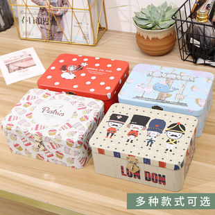 Iron Box Storage Box Children's Storage Box Household Hair Rope Hair Clip Iron Box Password Box Small Box Miscellaneous Di Xuan