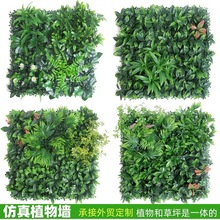 羳Gֲ ֲbGֲٲƺ 