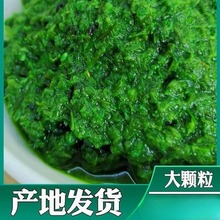 内蒙野生韭菜花酱草原大颗粒商用新鲜韭花酱手工现摘东北火锅蘸料