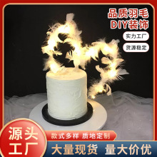 �F�z��������� �W�t���յ�����ë�lΨ�����ĳ���F�z��