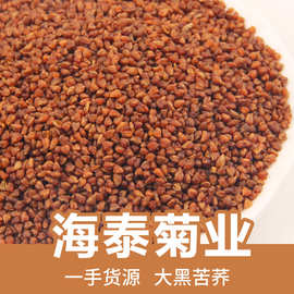 批发大凉山全株苦荞茶散装500g新货黑苦荞膨化大粒黄苦荞可接急单