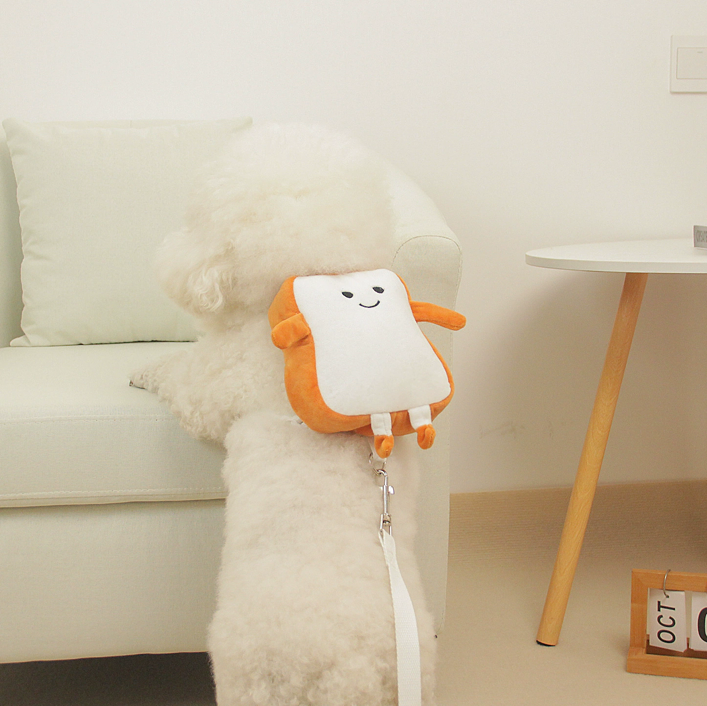 Поводок для собак, рюкзак для домашних животных, школьный рюкзак для маленьких собак, Бишон, прядильный хлеб, рюкзак для щенков, домашних животных