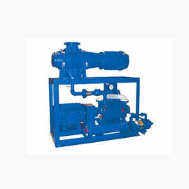 美国KINNEY凯尼增压泵/液环真空抽吸系统 蒸气回收 化工流程