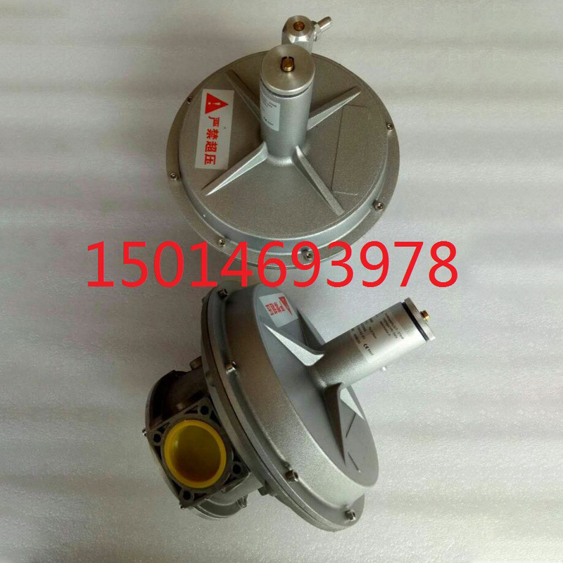 意大利朱丽安尼燃气稳压阀ST1B80/FSDR80燃气稳压阀ST1B80