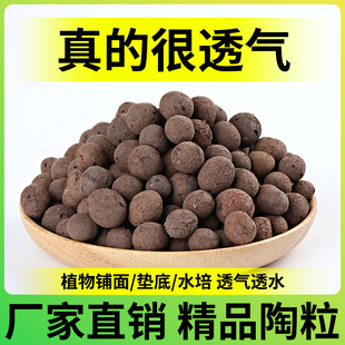 �@ˇ�p�|�����|���B������������������ˮ��ֲ��͸���������ˮ