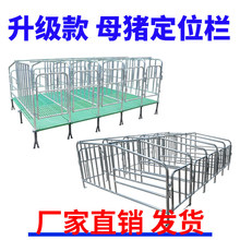 母猪限位栏落地式产床栏牛猪圈围栏新款母猪定位栏漏粪板养猪设备