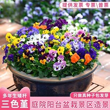 ��ɫ�����N�����ļ����N�_������ͥԺ�ͺ�����������̫ꖻ��ܷN��