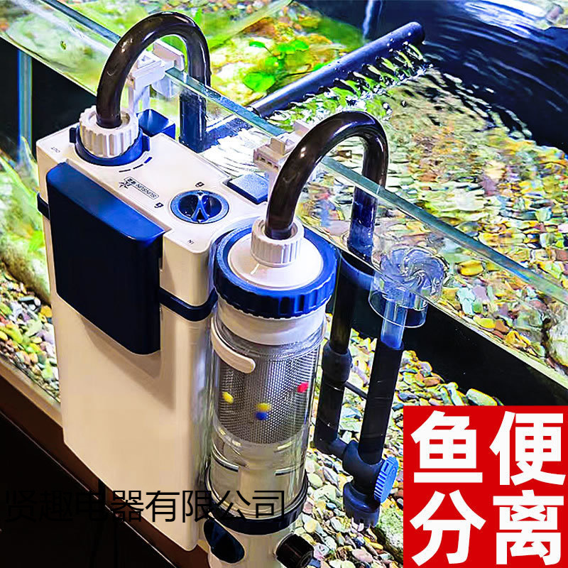 Aquarium, cigarette holder