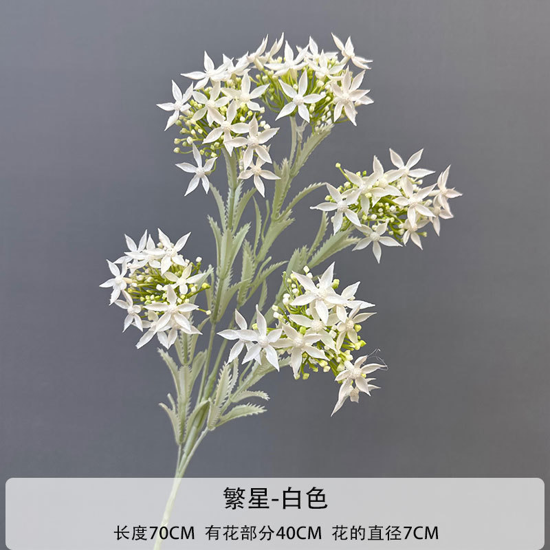 별