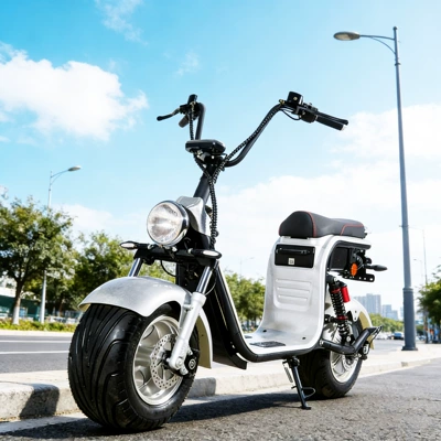 Elektrikli motosikletlər Motorcycle with European Eec Certification
