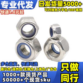 √单个304(厚型)尼龙锁紧(DIN982) 图片错误