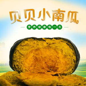 山东板栗贝贝南瓜新鲜蔬菜粉糯香甜板栗味当季5斤装批发一件代发