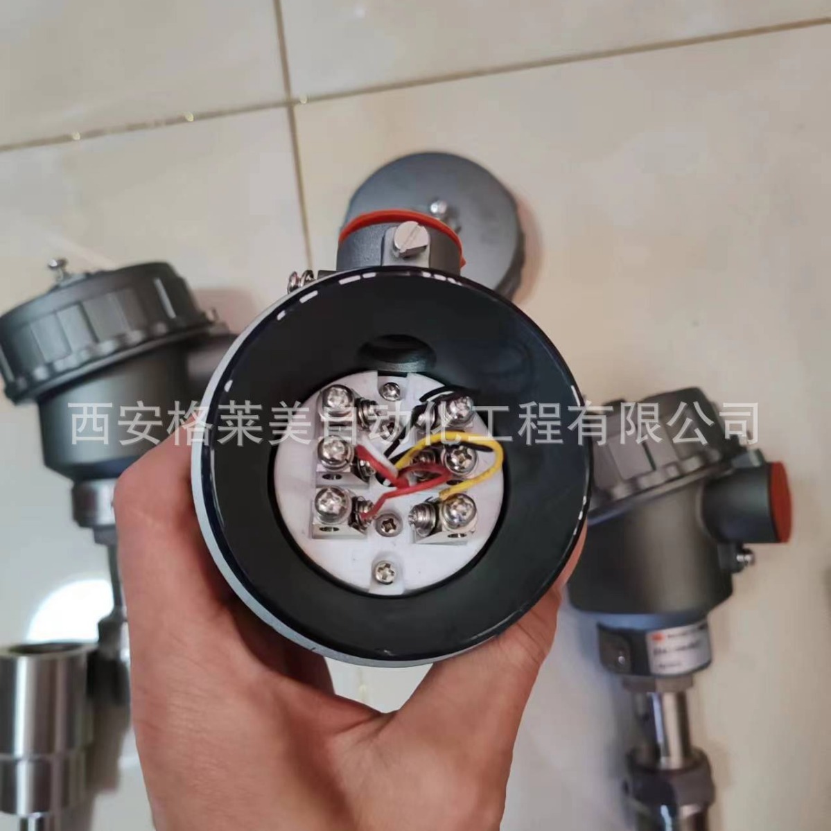 重庆川仪温度变送器PT100热电阻