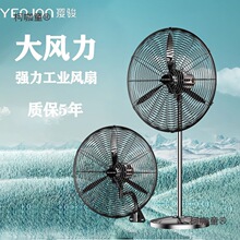 ���E���I��L�ȏ�������ȴ��L�����ɢ������L������ȩ��̫��