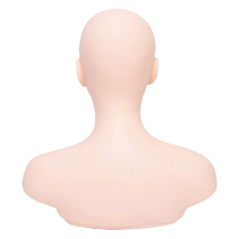 Модель головы Массажная модель головы салон красоты Манекен модель головы резьба по лицу Акупунктура точка Массажная техника практическая модель голова