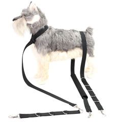Pet grooming bath harness, dog tie-out strap, clean hair, leash source factory