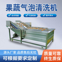 全自动苹果果蔬气泡清洗机 柚子气泡清洗机 净菜加工气泡清洗机