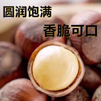 Hazelnut new goods Northeast Pellicle Opening Fry Boutique 500g fresh Refreshing fragrance Original flavor Opener wholesale