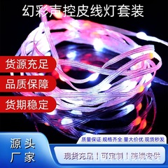幻彩皮線灯クリスマス装飾ledランプUSBソケット10メートル100灯APP点制御bluetoothランプテープ