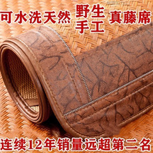 ��ȻҰɽ����ϯ�־���ϯ�Ӻ���Ұ������ϯ0.8m1.8���p�˴�����