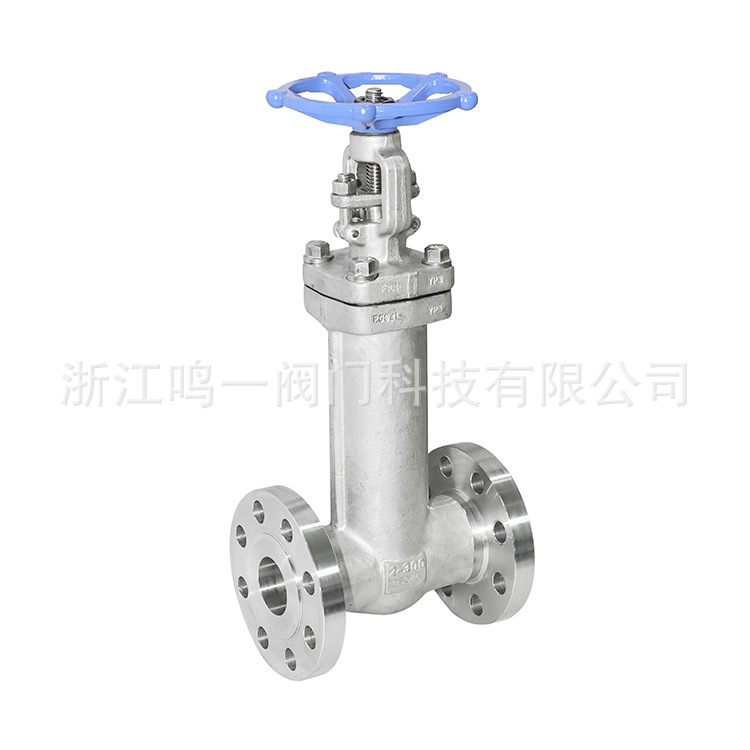 超低温波纹管法兰闸阀滴水盘加长阀杆低温不锈钢波纹管法兰截止阀