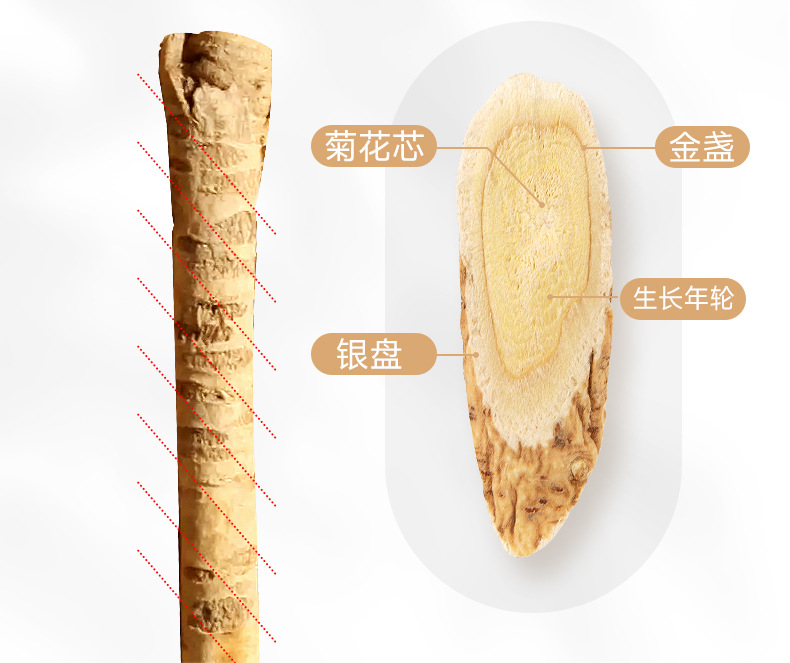Dried Astragalus Root Slices Large Grade Huang Qi Bei Qi for Herbal Decoction and Soup 500g quality and texture