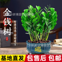 ���绨�����Կ͏dС�lؔ���X���Ӻ��B��ô��;Gֲ�҃�ֲ��