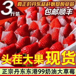 ���ڵ��|99��ݮ�t�ţ�̴��ݮ���rˮ���Y�Ю�������|�۾žſ��\