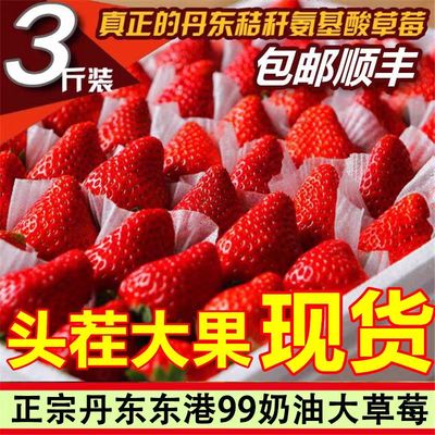 正宗丹东99草莓红颜牛奶大草莓新鲜水果礼盒当季整箱东港九九空运|ms