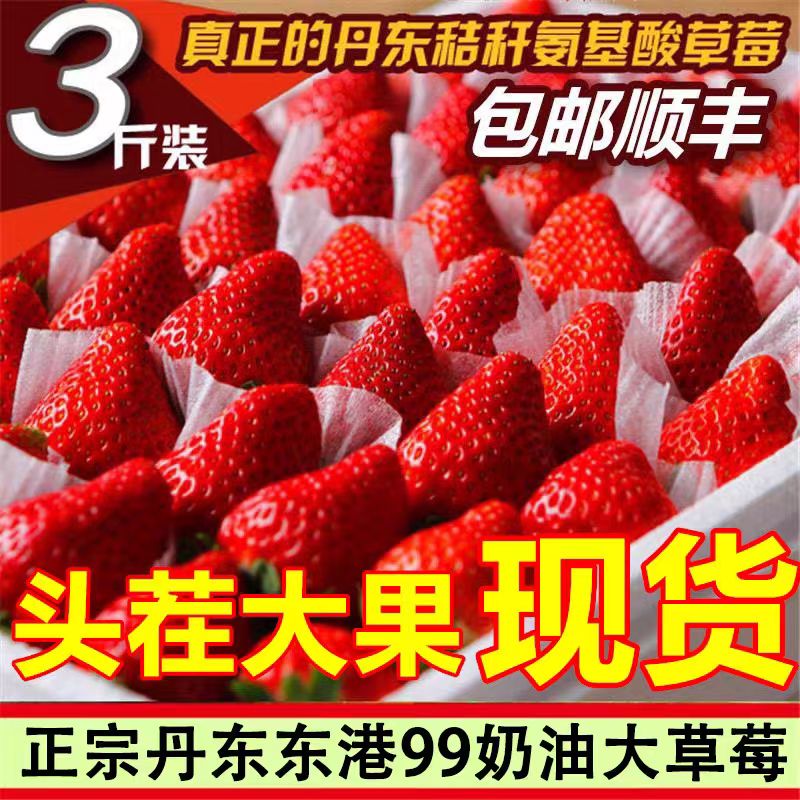 正宗丹东99草莓红颜牛奶大草莓新鲜水果礼盒当季整箱东港九九空运|ms