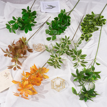 ����ֲ��lؔ��������y�Ә�Gֲ�~�ӻ�Y�����b��쾰�ٻ�����